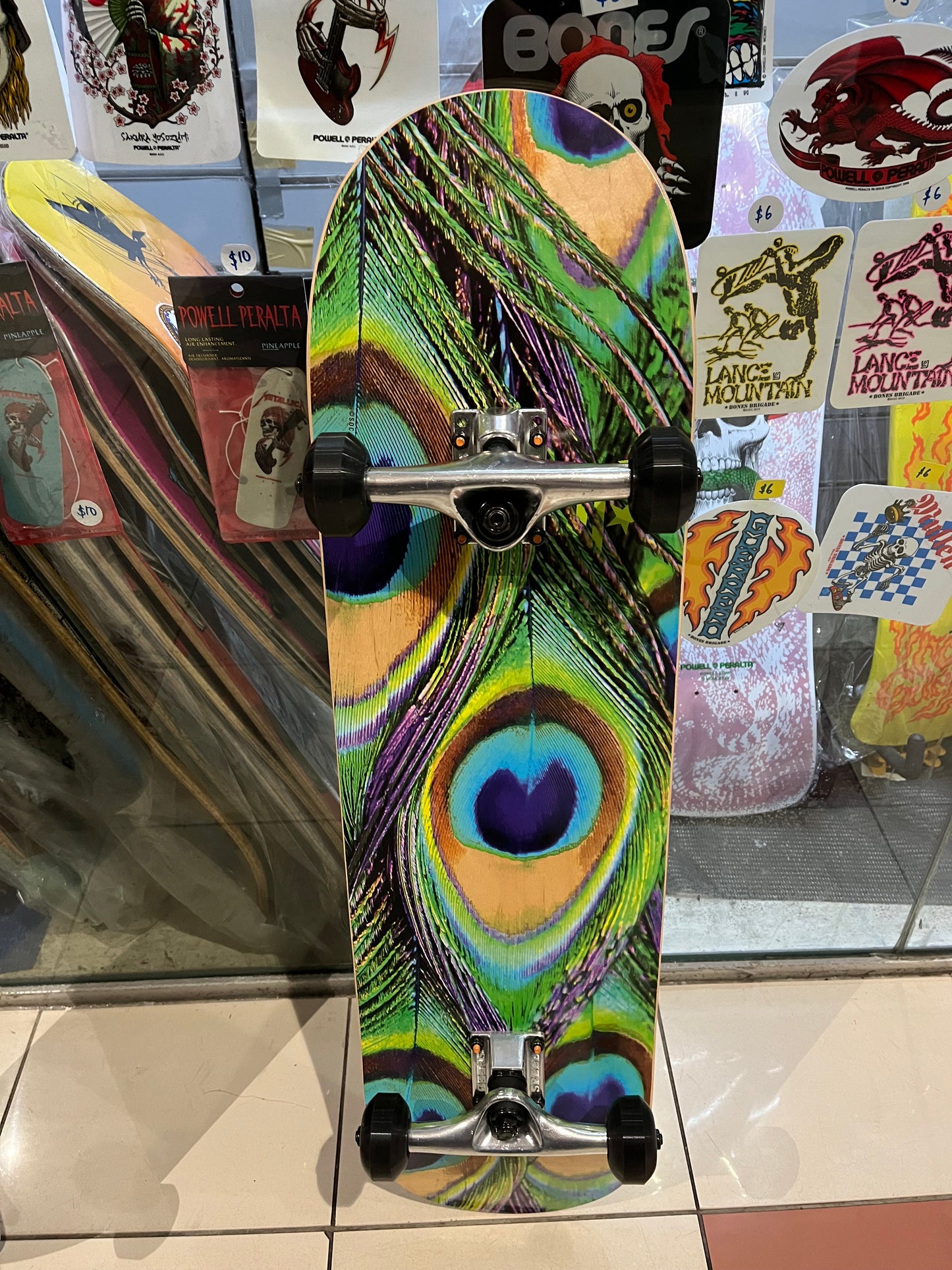 Mini Logo Complete Skateboard 8.25” Peacock
