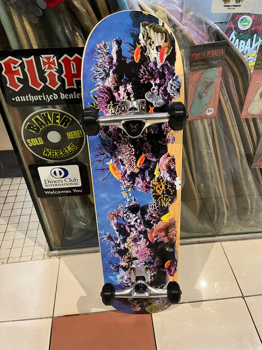 Mini Logo Complete Skateboard 8” Aquarium