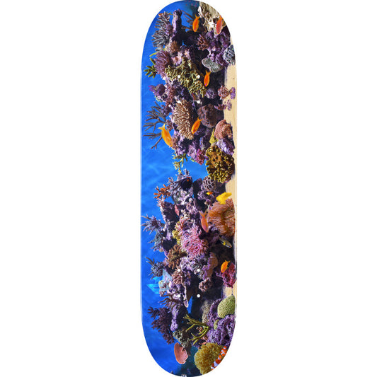 MINI LOGO FISH TANK "18" SKATEBOARD DECK 242 K20 8.0 X 31.45